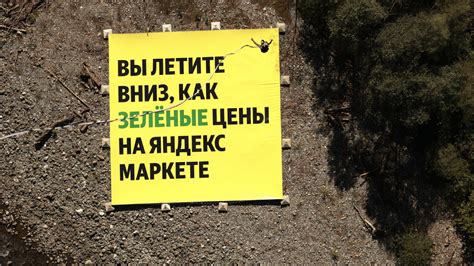 В Сочи посетители банджи-аттракциона увидели рекламу «Яндекс Маркета ...