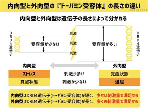 【診断あり】不器用で生きづらい人の3つの脳の特徴と伸びる適職 内向型人間の進化論