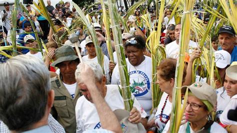 Unesco Declara A La Palma Bendita Como Patrimonio Cultural De La