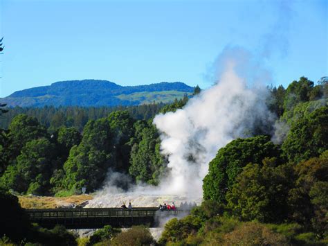 Geyser Watching At Te Puia Rotorua First Time Travels