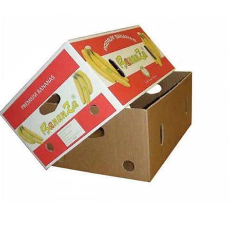 Double Wall 5 Ply Fruits Printed Corrugated Boxes