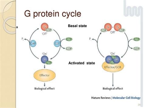 G Protein Coupled Receptors