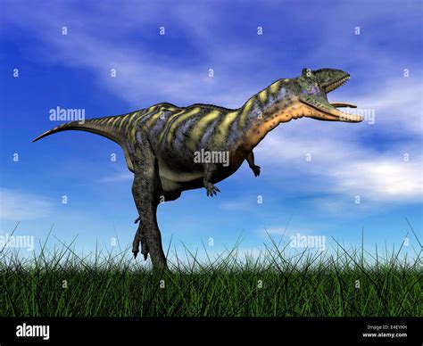 Aucasaurus Dinosaur Running In The Grass Stock Photo Alamy