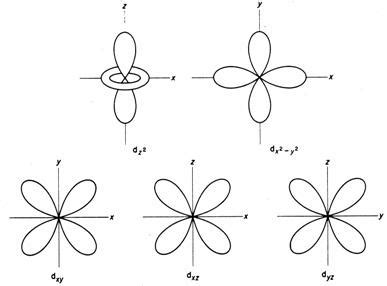 D Orbital Diagram - General Wiring Diagram