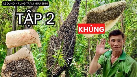 Ong R Ng To N T To B T P Harvesting Wild Honey In The Forest