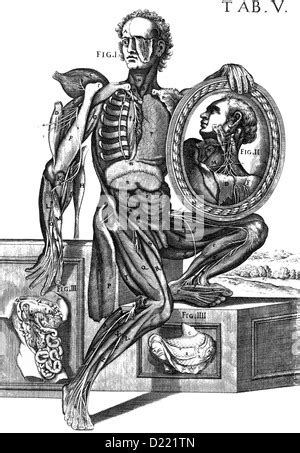 Andreas Vesalius Flemish Anatomist Stock Photo Alamy