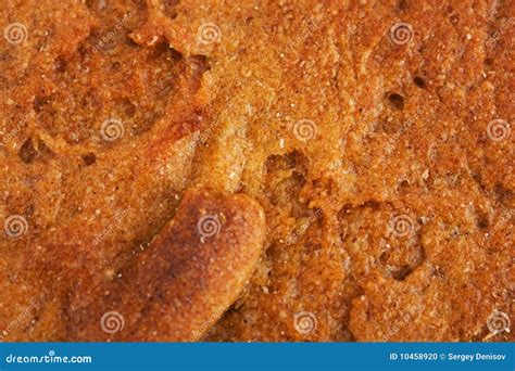 Korst Van Brood Stock Foto Image Of Textuur Sandwich 10458920