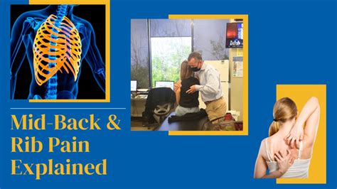 Mid-Back and Rib Pain Explained | Progressive PT | Costa Mesa | Irvine ...