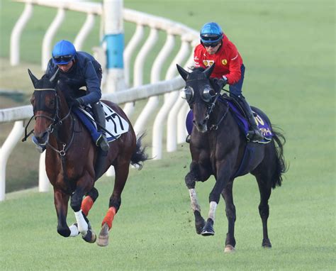 【ジャパンc】シャフリヤール馬なり2馬身先着“初芝”で鋭く伸びる 昨年ダービー馬が逆襲狙う 競馬写真ニュース 日刊スポーツ