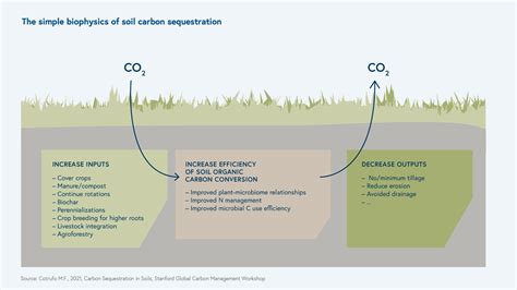 Roadmap Soil Sequestration Bessemer Venture Partners