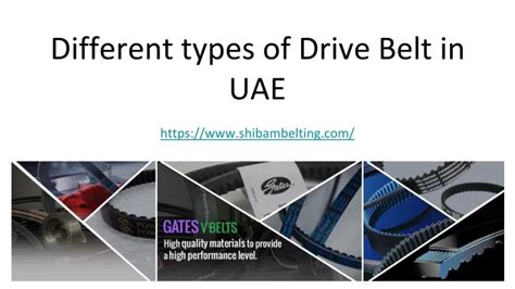 Ppt Different Types Of Drive Belt In Uae Powerpoint Presentation