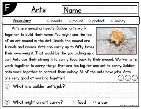 Level F Reading Comprehension Passages And Questions Set Two A