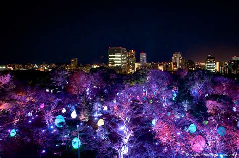 New Year Countdown at the Team Lab Light Festival at Fukuoka Castle ...