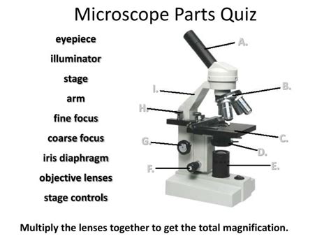 PPT - Microscope Parts Quiz PowerPoint Presentation, free download - ID:5542911