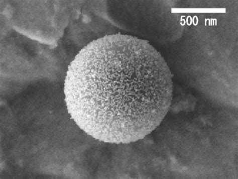 Sem Image Of Aminoalkylated Large Silica Particle With Attached Gold