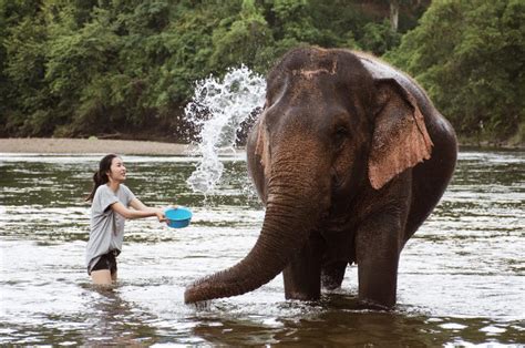 Những cô nàng hot girl không bao giờ chịu ở yên chỗ sẽ khiến bạn muốn đi du lịch ngay tức thì