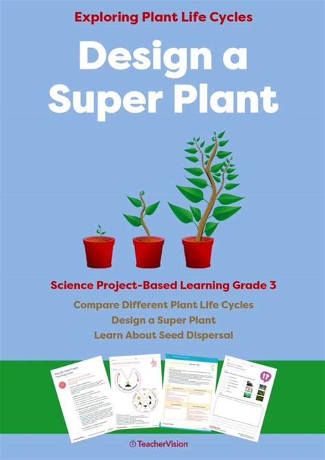 Plant Life Cycle Stages 3rd Grade Science Pbl Teachervision