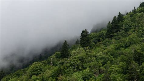 Walking Into the Unknown — Today Daily Devotional 