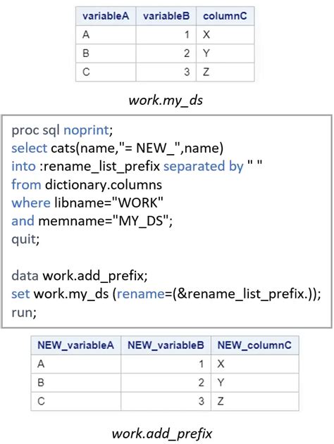 How To Rename Variables In Sas Sas Example Code