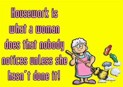 Pin By ANNE S CRAFT CABIN On FUNNY Housework Funny Fun