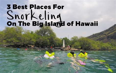 Best Snorkeling Big Island Hilo