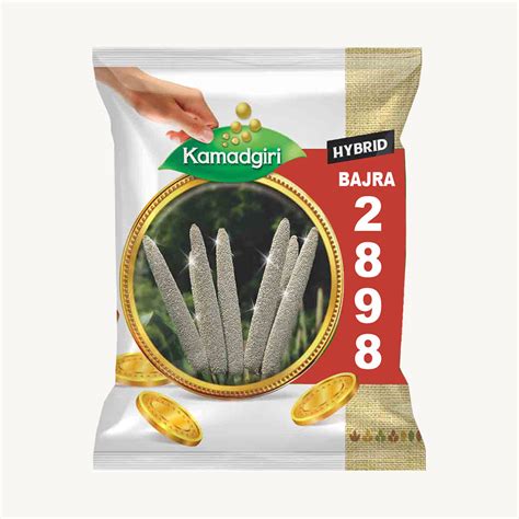 hybrid bajra  kamadgiri crop science