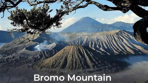 D N Tumpak Sewu Bromo Ijen Ketapang Getyourguide