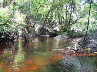 Science Dinosaur: Florida Landforms Exercise - please provide your ...