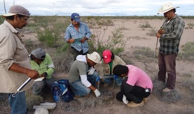 Programa para la Protección y Restauración de Ecosistemas y Especies en