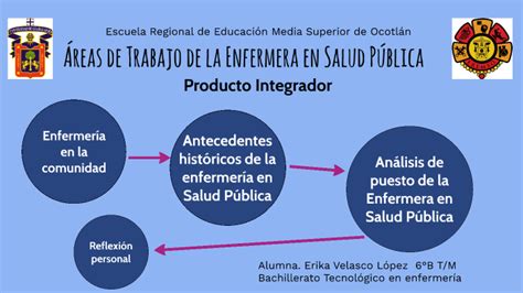 Reas De Trabajo De La Enfermera En Salud P Blica By Erika Velasco