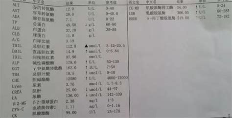 6个关键数值，教你看懂肝功能化验单 知乎