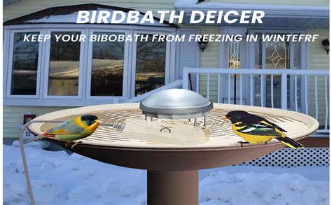 Amazon Feemiyo Bird Bath Heater For Outdoor In Winter Birdbath