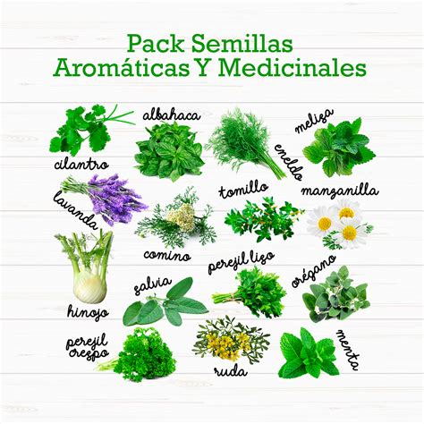 Pack 15 Sobres Semillas Aromáticas Y Medicinales