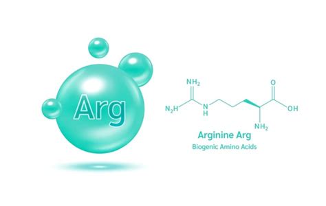 2010 Arginine Images Stock Photos 3d Objects And Vectors Shutterstock