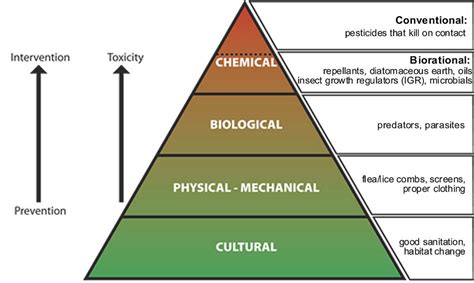 Integrated Pest Management For Sustainable Agriculture Enhance Crop Health