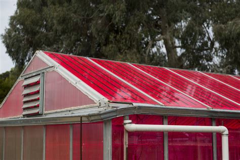 Solar Greenhouses Generate Electricity And Grow Crops At The Same Time