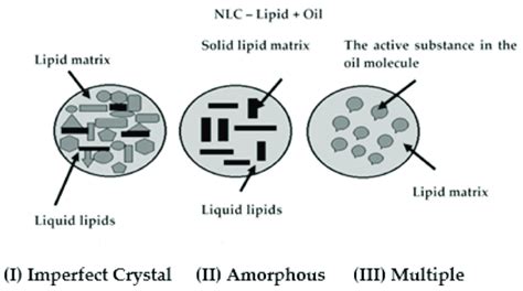 Structure Types Of Nanostructured Lipid Carriers I Imperfect Download Scientific Diagram