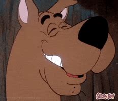 Scooby Doo Laughing GIFs - Find & Share on GIPHY