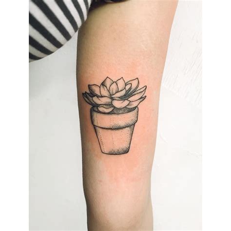 Succulent Tattoos Small