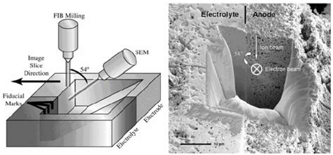 A Schematic Drawing Showing The Fib Sem Geometry And A Low