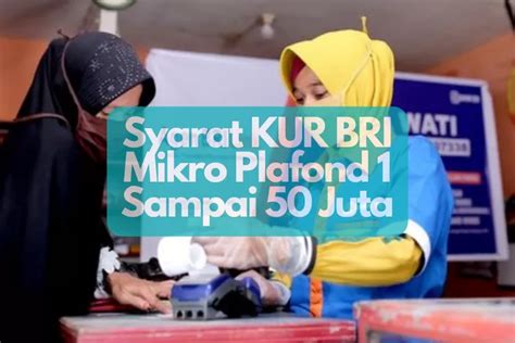 Syarat KUR BRI Mikro Plafond 1 Sampai 50 Juta Yang Harus Dipenuhi Calon