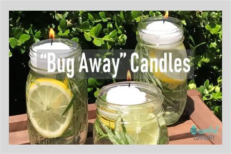 Spring Essential Oil Recipes Diffuser Blends Diy Cleaning Bug Spray