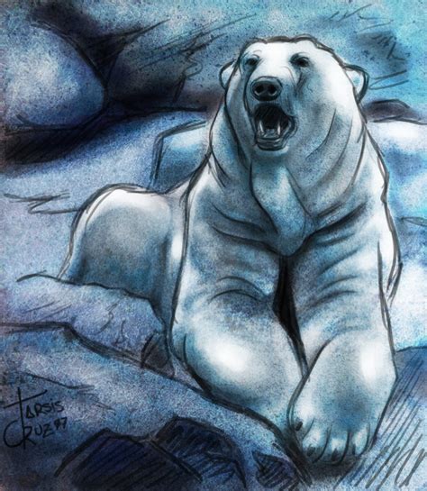 Polar Bear Sketch by Aleph777 on DeviantArt