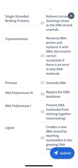 Solved Please match the following components of replication | Chegg.com 