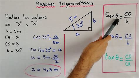 ¡resuelve Tus Problemas De Trigonometría 4º De Eso Con Estos Ejercicios Resueltos Apolonioes