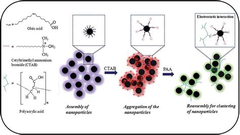 Scheme 1 Mechanism Of Reassembling Of Nanoparticles For Cluster