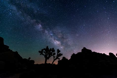 Joshua Tree camping guide for desert adventurers