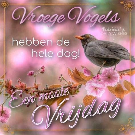 Pin Van Brigitte Berden Op Dagen Vdw Goedemorgen Vrijdag Goedemorgen