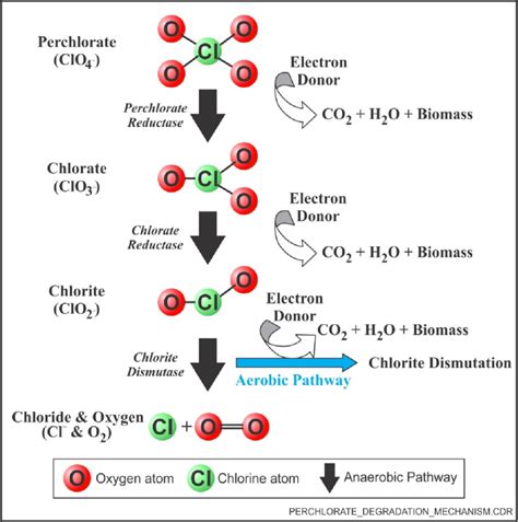 Biodegradation of Perchlorate | Download Scientific Diagram