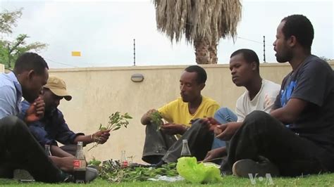 Chewing Khat Increasingly Popular Among Ethiopians